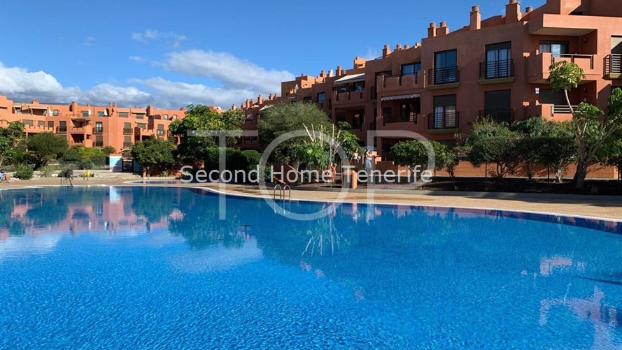 Apartment-Sotavento-Community-Pool-Tenerife-1