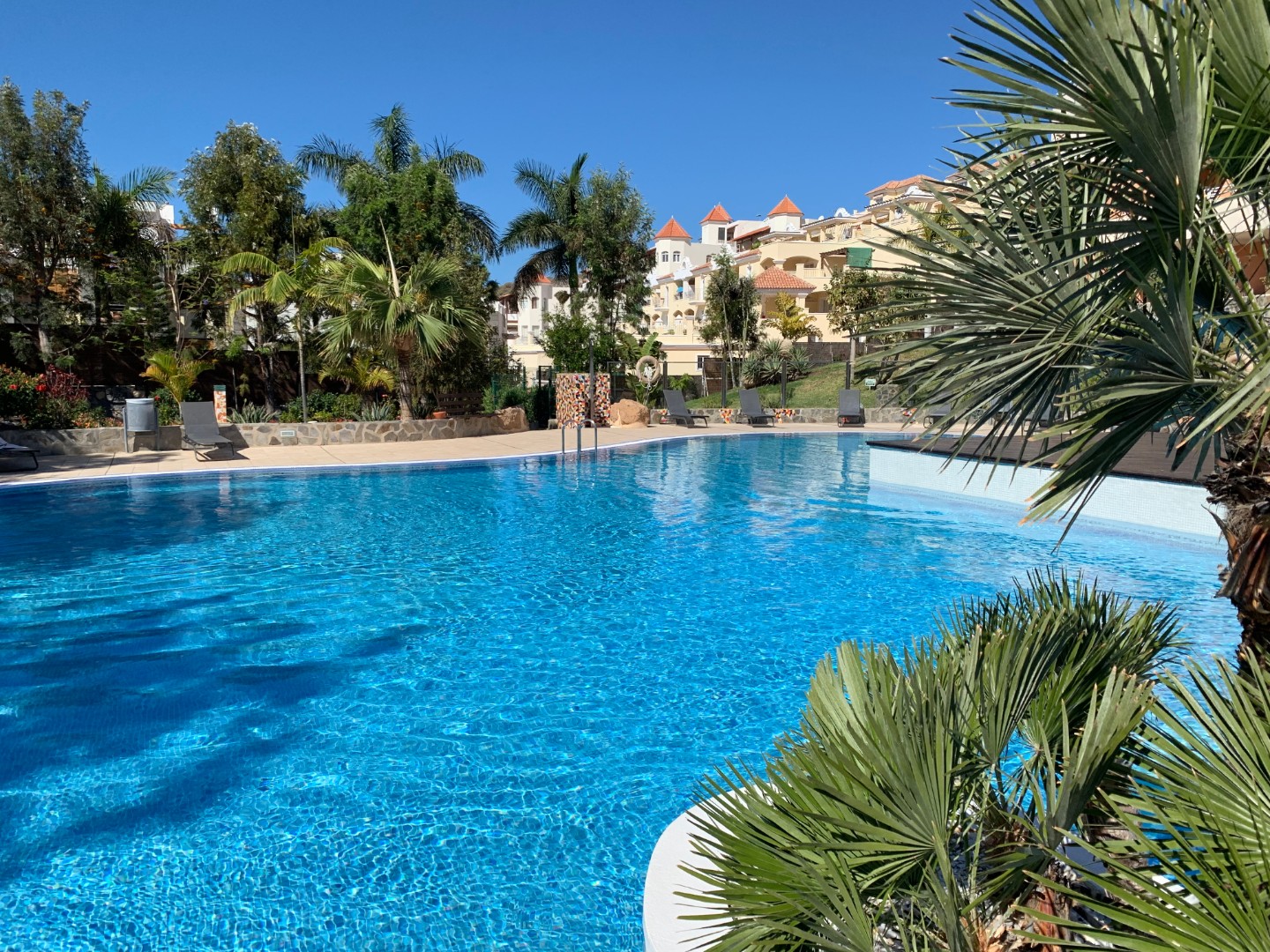 Apartment for rent La Caleta Adeje ref. 1602963 Second Home Tenerife