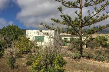 Finca - Ferme à vendre Granadilla 