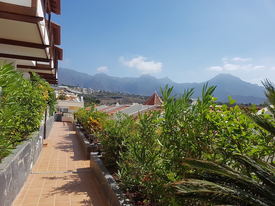 Apartment for rent La Caleta Adeje ref. 1864186 Second Home Tenerife