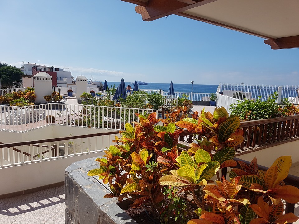Apartment for rent La Caleta Adeje ref. 1864186 Second Home Tenerife
