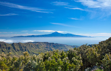 Veelzijdige natuur in Tenerife