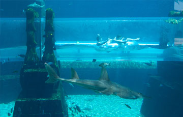 Siam Park Tenerife